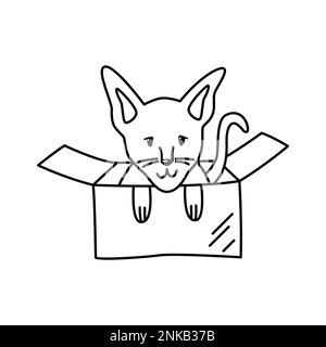 Kleine sphynx-Katze in einer Pappschachtel. Lineare Doodle-Darstellung eines Haustieres. Niedliches Designelement für Tierheime Stock Vektor