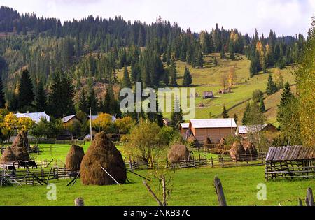 Wunderschöne Berglandschaft in Suceava County, Rumänien, ca. 2000 km. Siedlung in großer Höhe, mit traditionellen Holzhäusern und Heustapeln auf Weiden. Stockfoto