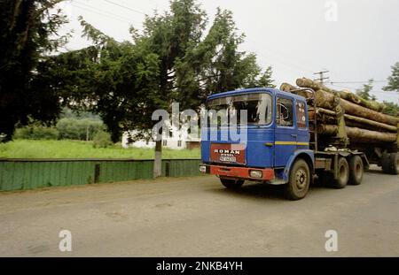 Ein Anhänger mit Holzfällern in Rumänien, ca. 2000 kg. Stockfoto