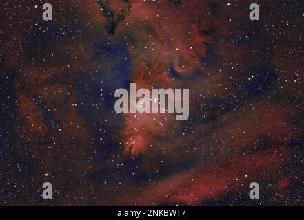 NGC2264, Kegel-Nebel mit Weihnachtsbaum-Sternenhaufen im Constellation Einhorn Stockfoto