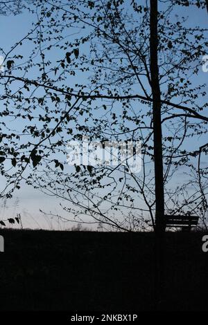 Sonnenuntergang mit Baum und Bank auf dem Gipfel des Hügels Stockfoto