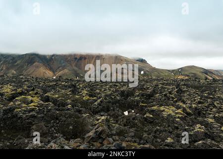 View of amazing landscape in Iceland while trekking famous Laugavegur trail Stockfoto
