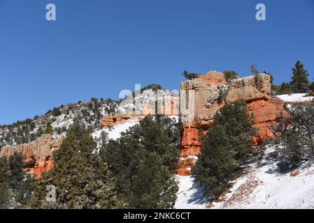 Eine wunderschöne farbenfrohe Winterszene in der Wüste mit roten Klippen, weißem Schnee, blauem Himmel und grünen Bäumen. Gedreht in Utah, USA. Beachten Sie das große Vollformat Stockfoto