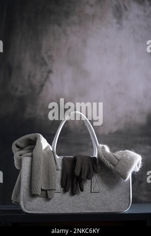 Schal, Hut und Handschuhe in Filztasche Stockfoto