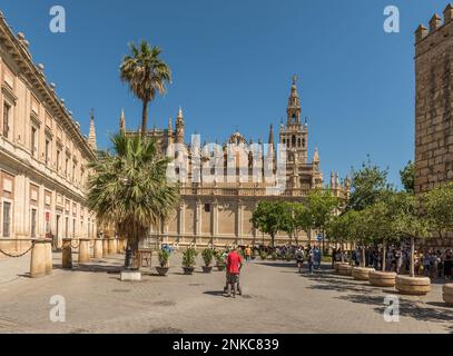 Unbekannte Touristen auf der Plaza del Triunfo, Sevilla, Andalusien, Spanien Stockfoto