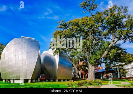 Das Ohr-O’Keefe Museum of Art, entworfen vom Architekten Frank Gehry, ist am 22. Februar 2023 in Biloxi abgebildet. Mississippi. Stockfoto