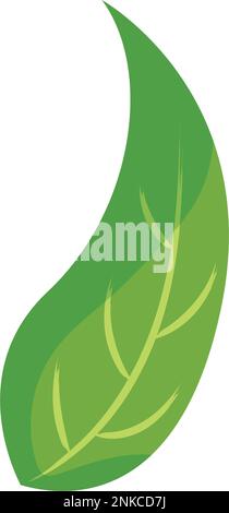 Isolierter grüner Leaf-Symbol-Vektor Stock Vektor