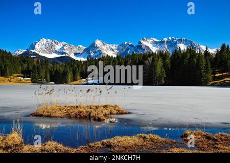 Reedinsel im gefrorenen Geroldsee in Oberbayern, mit dem Karwendelgebirge im Hintergrund, Bayern Stockfoto