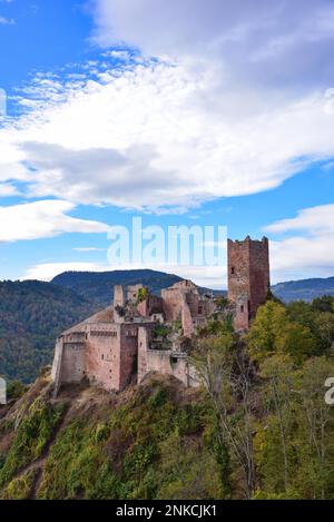 Ruine des Chateau de Saint-Ulrich (Ulrichsburg) in den Vogesen bei Ribeauville im Elsass, Departement Haut-Rhin, Region Grand Est Stockfoto