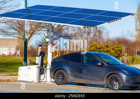 Ein Elektroauto, das an einer solarbetriebenen Elektrostation in Steveston British Columbia auflädt Stockfoto