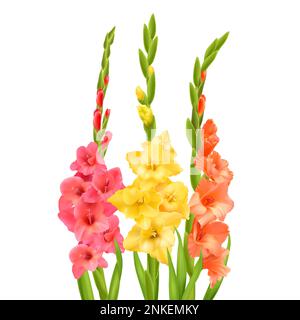 Gladiolusblüten mit Knospen und Blättern vor weißem Hintergrund realistische Vektordarstellung Stock Vektor