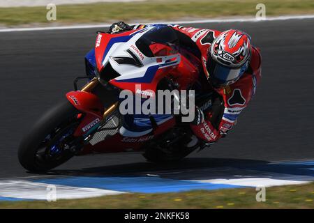 Melbourne, Australien. Freitag, 24. Februar 2023. Spaniard Iker Lecuona (7), Team HRC Honda CBR1000 RR-R, World Superbike FP1 auf Phillip Island. Kredit: Karl Phillipson/Alamy Live News Stockfoto