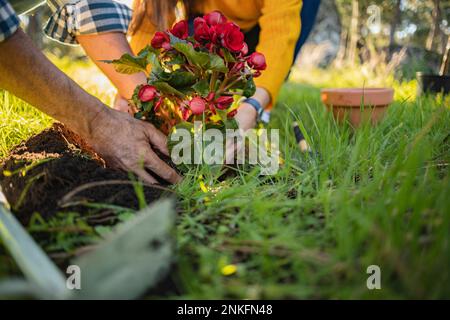 Ein Paar pflanzt Blumen im natürlichen Garten Stockfoto