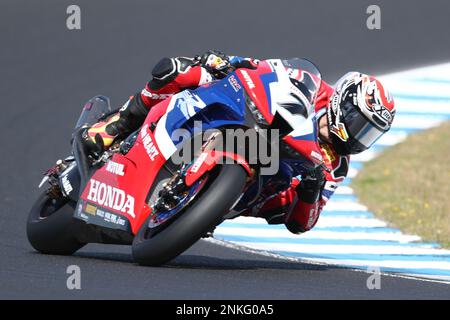 Victoria, Australien. 24. Februar 2023. Iker Lecuona (ESP)Racing für Team HRC mit dem Honda CBR1000 RR-R während der Australian Grand Ridge Round 2023 der MOTUL FIM Superbike World Championship 2023 in Phillip Island, Australien, am 24. Februar 2023 – Bildgutschrift: brett keating/Alamy Live News Stockfoto