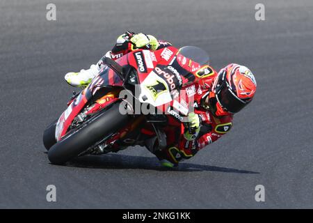 Victoria, Australien. 24. Februar 2023. Alvaro Bautista (ESP) Rennen für Aruba.IT Racing - Ducati-Fahrt mit dem Ducati Panigale V4R während der 2023. Australischen Grand Ridge Round der MOTUL FIM Superbike World Championship 2023 in Phillip Island, Australien, am 24. Februar 2023 - Bildgutschrift: brett keating/Alamy Live News Stockfoto