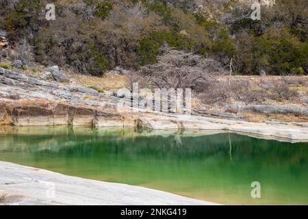 Geologische Landschaften mit Kalksteinhintergründen für ein Wasserbecken und eine Reflexion toter Bäume im Teich im Pedernales State Park Texas Stockfoto