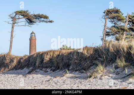 Deutschland, Mecklenburg-Vorpommern, Grasstrand auf der Halbinsel Fischland-Darss-Zingst mit Leuchtturm Darsser Ort Natureum im Hintergrund Stockfoto