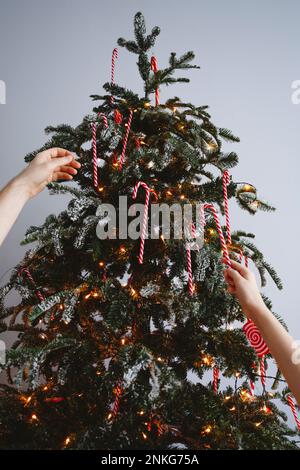 Hände von Mädchen und Mann, die zu Hause Zuckerstangen an den Weihnachtsbaum hängen Stockfoto