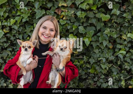 Fröhliche reife Frau, die Chihuahua Welpen vor Pflanzen trägt Stockfoto