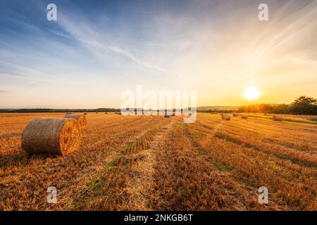 Harvested bales of hay on field at sunset Stockfoto