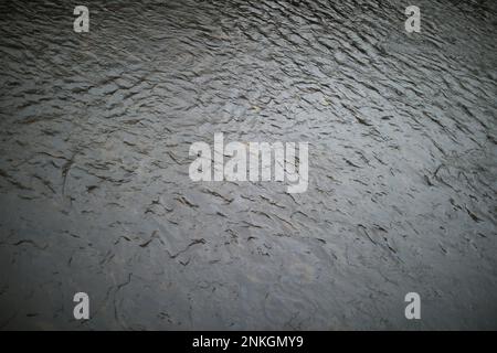 Wasserspiegelung mit Natursee und Stadt Stockfoto