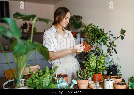 Eine Frau, die zu Hause Topfpflanzen untersucht Stockfoto