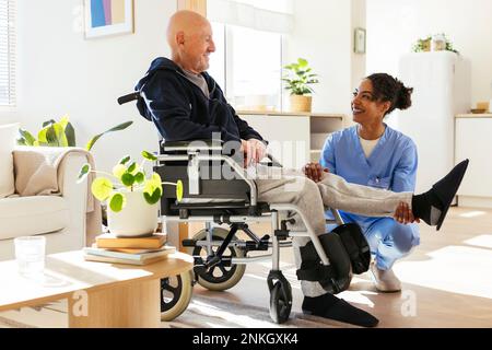 Lächelnder Physiotherapeut, der zu Hause das Bein eines Senioren im Rollstuhl untersucht Stockfoto