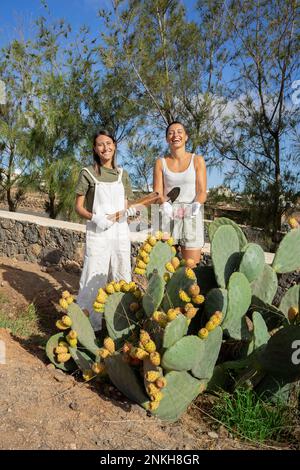 Glückliche Frauen stehen neben Kaktuspflanzen im Garten Stockfoto