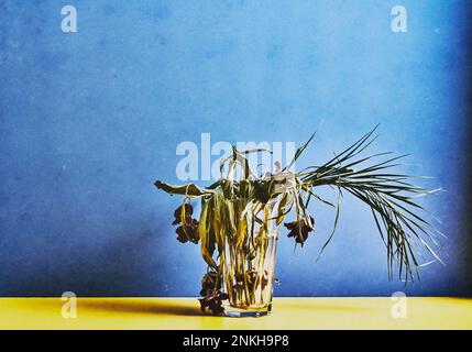 Vase mit verwelkten Tulpen und Palmenblättern Stockfoto