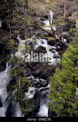 Tamarack Creek Cascades Landschaft im Frühling im Yosemite National Park Stockfoto