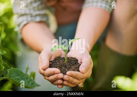 Die Hoffnung wird grün. Ein nicht identifizierbarer Landwirt, der einen Haufen Erde hält, aus dem ein Setzling wächst. Stockfoto