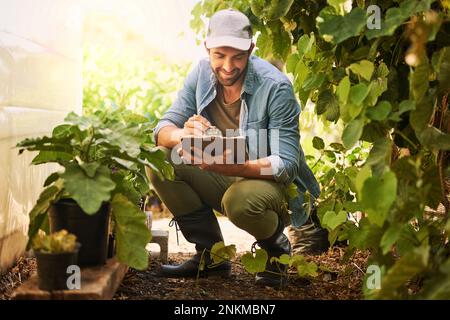 Jede Pflanze ist da. Ein glücklicher junger Bauer, der die Ernte auf seinem Hof untersucht. Stockfoto