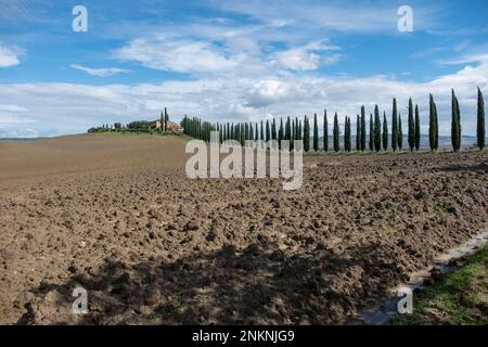 Typische toskanische Landschaft mit geerntetem Feld, Zypressenallee, Bauernhof, Kopierraum Stockfoto