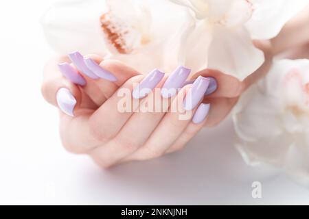 Frauenhände mit zarter lila Maniküre und Orchideenblumen. Das Konzept der Schönheits- und Körperpflege. Stockfoto