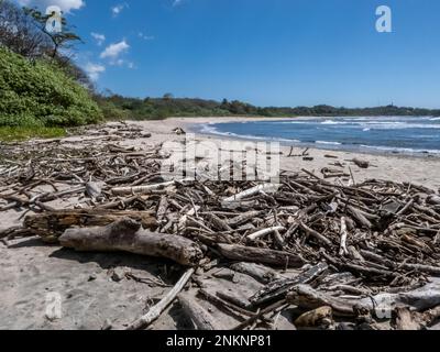 An einem leeren Strand in der Nähe von Montezuma in Costa Rica wurde viel Treibholz angespült Stockfoto