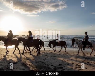 Eine Gruppe von Reitern genießen Zeit am Strand, während die Sonne in Nosara in Costa Rica untergeht Stockfoto