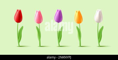 Tulpenblüten auf dem Stiel mit Blättern 3D-Set mit verschiedenen Blütenformen in Farben Stock Vektor