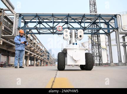 QINGDAO, CHINA - 24. FEBRUAR 2023 - ein industrieller Inspektionsroboter führt eine intelligente Inspektion auf einem Flüssiggastanklager in Sinopec Qingdao durch Stockfoto