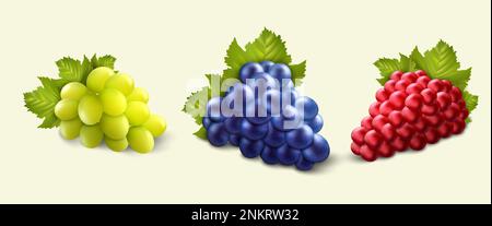 Realistische Trauben. Rote, grüne und schwarze Beeren. Frisches Weingetränk, 3D Weinberg oder süßes Tischdessert, saftige Früchte mit grünen Blättern. Landwirtschaft oder Stock Vektor