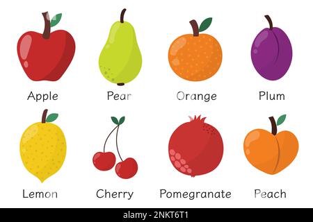 Doodle Fruits im Cartoon-Stil. Sammlung mit handgezeichneten Früchten Stock Vektor