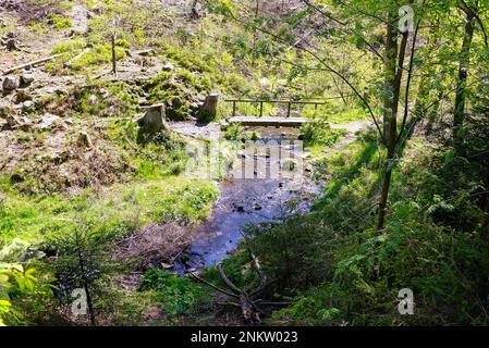 Im Silberbachtal Tal Stockfoto