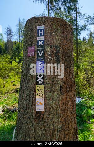 Im Silberbachtal Tal Stockfoto