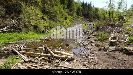 Im Silberbachtal Tal Stockfoto