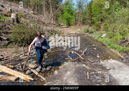 Im Silberbachtal Tal Stockfoto