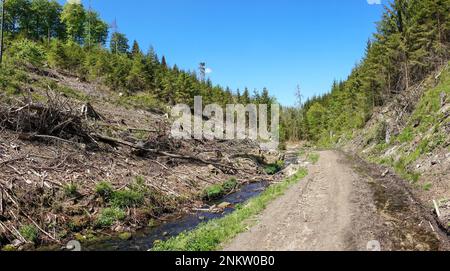 Im Silberbachtal Tal Stockfoto