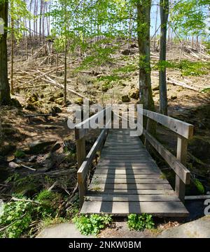 Im Silberbachtal Tal Stockfoto