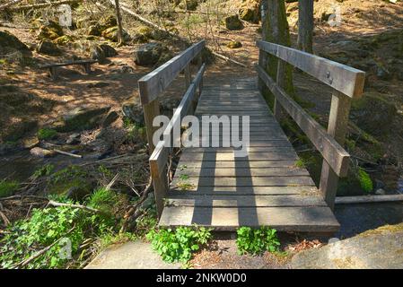 Im Silberbachtal Tal Stockfoto