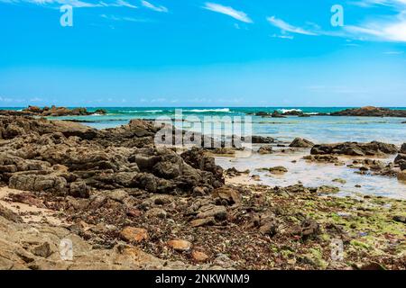 Felsige Gegend mit natürlichen Pools, Algen und Riffen am Itapoa Strand in Salvador Stadt in Bahia Stockfoto