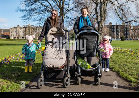 Leith, Edinburgh, Schottland, Großbritannien, 24. Februar 2023. Die Krokusse, die den Fußweg über Leith Links säumen, blühen an einem wunderschönen sonnigen Frühlingsmorgen. Abbildung: Kleinkinder Erin und Isla im Alter von 2 Jahren genießen einen Spaziergang im Park mit ihren Müttern. Kredit: Sally Anderson/Alamy Live News Stockfoto