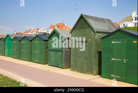 Grüne Strandhütten bei Lee auf Solent an der Hampshire Küste Stockfoto